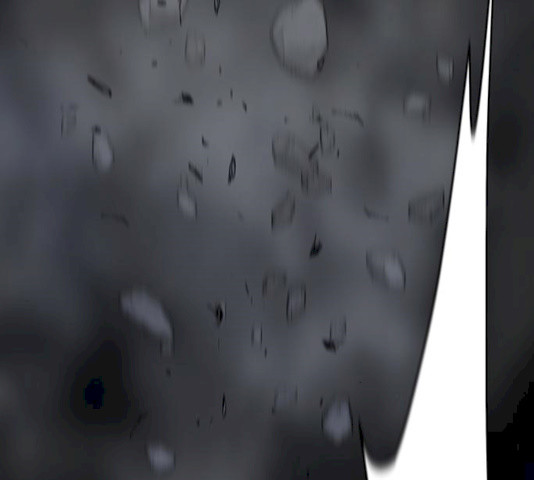 1629502506349.jpeg