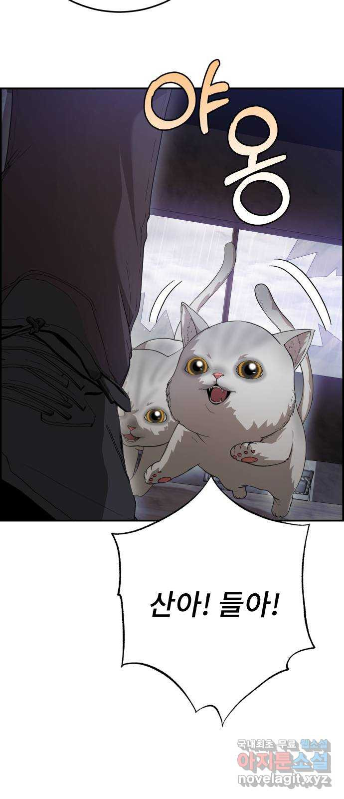 1665632301183as9yqaatl1a.jpeg