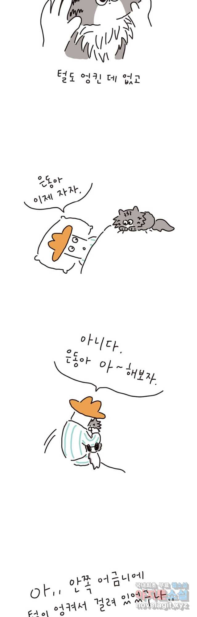 1682043581708ll6phkn0kt.jpeg