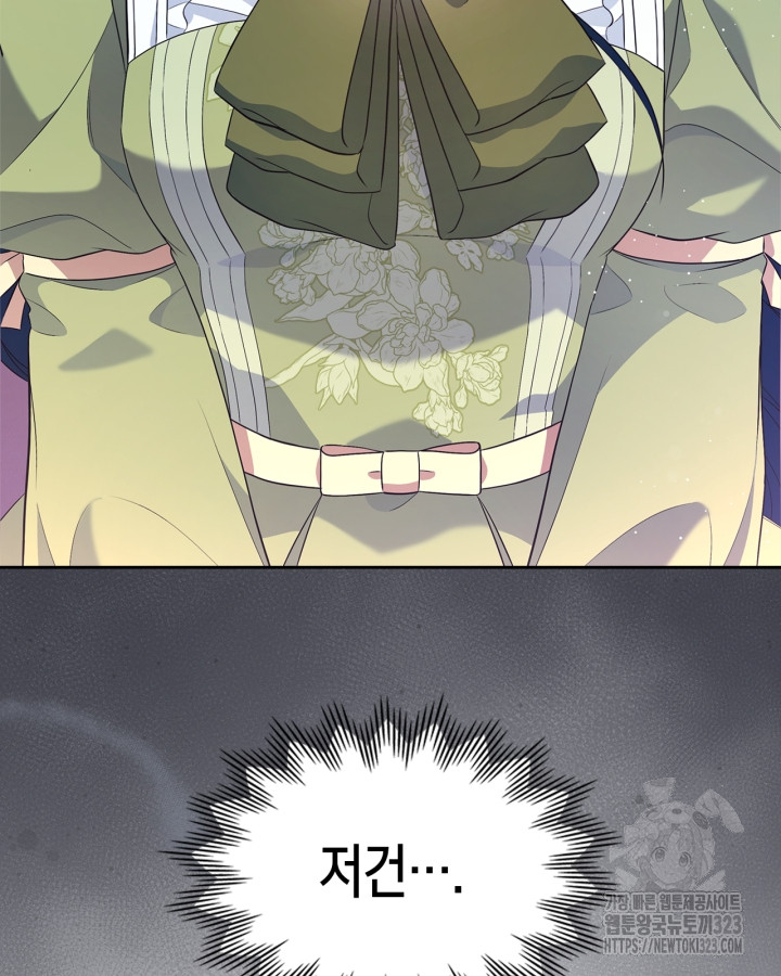 1706293498798ds22pelt8k.jpg