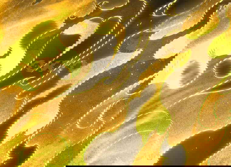 1729910767701d3wde8xhlmj.jpg