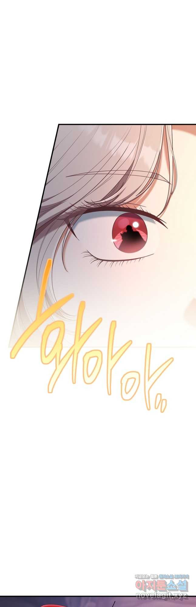 17086502082316yv00jxcma.jpeg