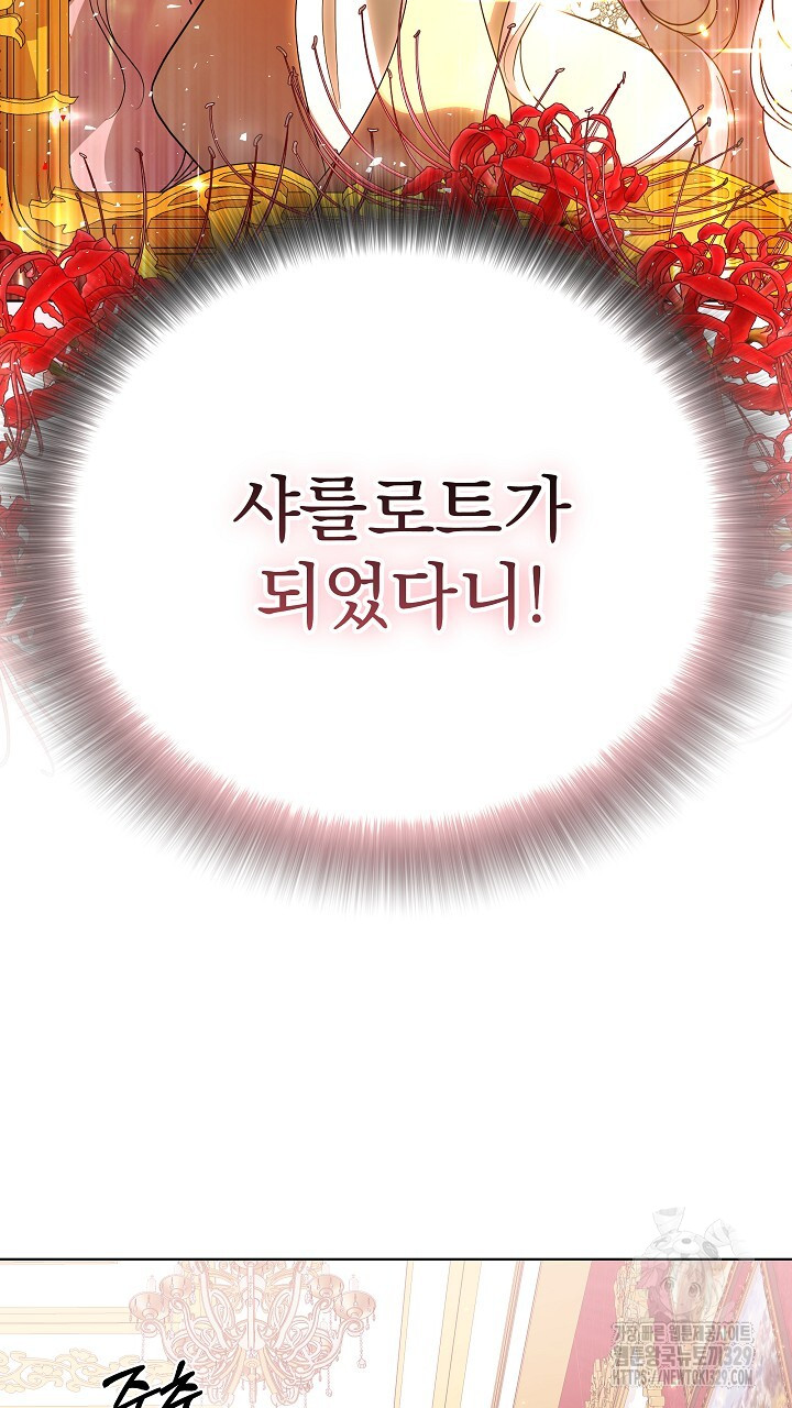 1710719643864qn2awrnwtdc.jpg