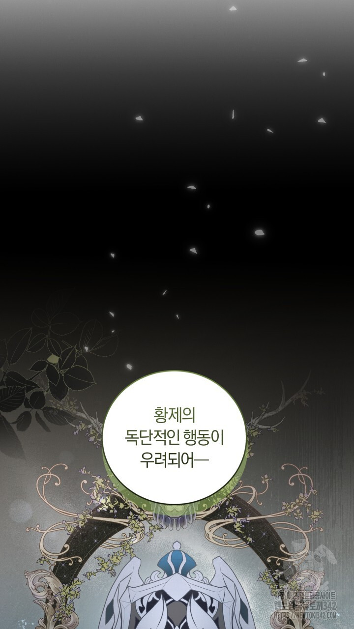 171916415039753yoymbkbm.jpg